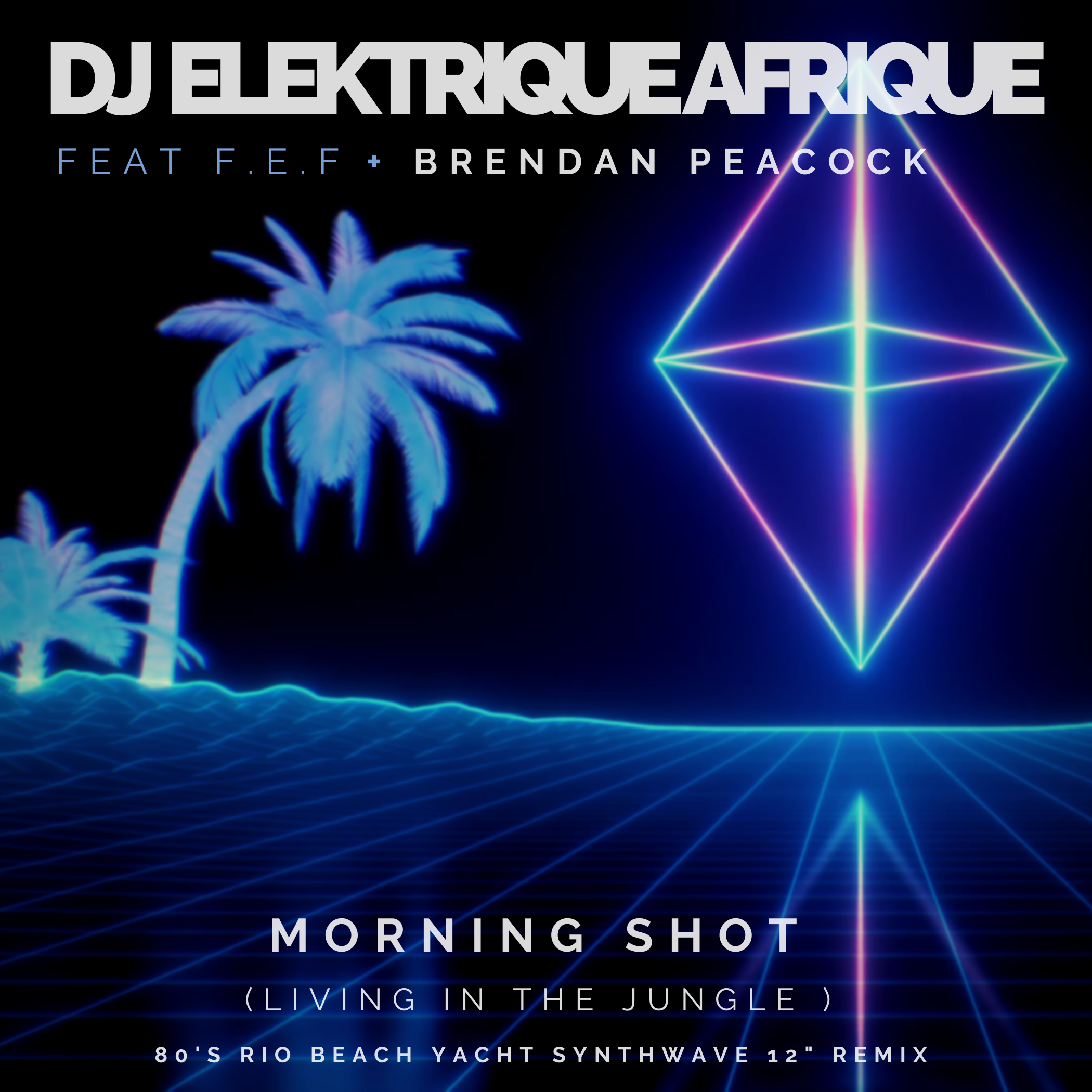 DJ Elektrique Afrique was inspired by a trip to the South African Wild Coast and the news analysis show and You Tube channel ‘Morning Shot’ with Roman Cabanac for his new single Morning Shot: Living in the Jungle